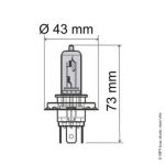AMPOULE 12V / 35W (HS1)