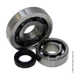 KIT ROULEMENT VILEBREQUIN 4 T