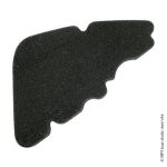 FILTRE A AIR LIBERTY 4T
