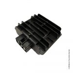 Régulateur de Tension - F45i